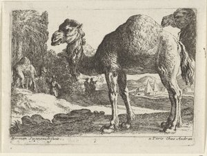 Camels (series: Landscapes with Animals) by Herman van Swanevelt