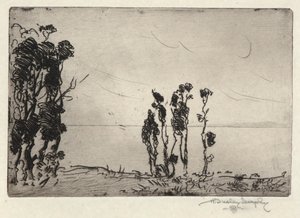Shore Landscape
