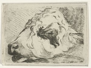 Head of a Calf, in Profile, Resting on a Beam by Hermanus Fock