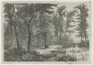 Forest Scene with a Pond with Ducks