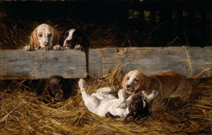 Playing Puppies by Hermine Biedermann Arendt