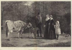 A New Arrival