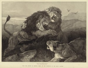 Fierce as conflicting fires the combat burns