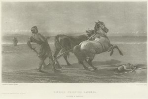 Ulysses feigning madness (engraving) by Heywood Hardy