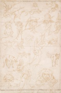 Grotesque Studies by Hieronymus Bosch