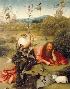 Saint John the Baptist dozed in nature by Hieronymus Bosch