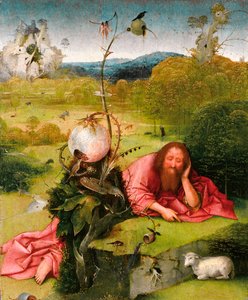 Saint John the Baptist in the Desert by Hieronymus Bosch