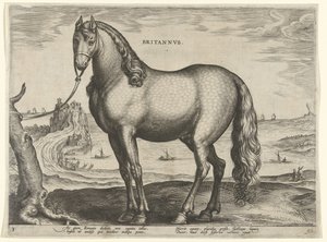 Horse from Brittany by Hieronymus Wierix