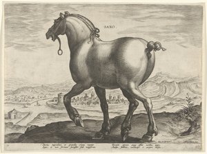 Horse from Saxony by Hieronymus Wierix