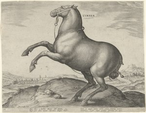 Horse from Scythia by Hieronymus Wierix