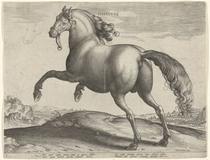 Horse from Spain (Hispanus Alter) by Hieronymus Wierix