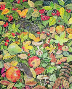 Foraging