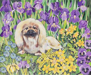 Wilma by Hilary Jones