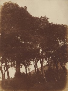 Field at Bonaly by Hill and Adamson