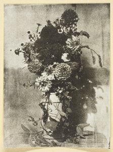 Bouquet of Flowers by Hippolyte Bayard