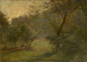 Forest View
