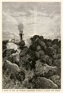 A herd of ten or twelve thousand buffalo barred the track, from Around the World in Eighty Days by Jules Verne