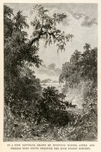 In a fine equipage, drawn by splendid horses, Aouda and Phileas Fogg drove through the rich forest scenery, from Around the World in Eighty Days by Jules Verne