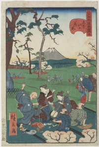 No.5, Cherry-blossom Viewing at Asuka Hill by Hirokage Utagawa