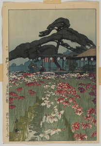 Iris Garden in Horikiri, from the series, Twelve Scenes of Tokyo, Showa era by Hiroshi Yoshida