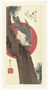 Hawk on Pine Tree by Hiroshige (I) , Utagawa
