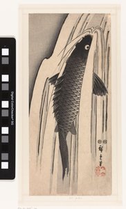 Carp Swimming Upstream Against a Waterfall by Hiroshige (I) , Utagawa