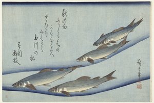 Trout by Hiroshige (I) , Utagawa