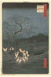 Fox Fires on New Year