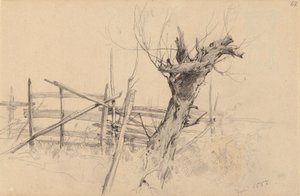 Dried-up Tree Trunk by Hjalmar Munsterhjelm
