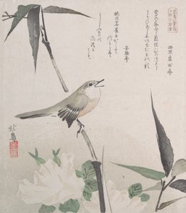 Roses and Bamboo with Nightingale by Hokuba