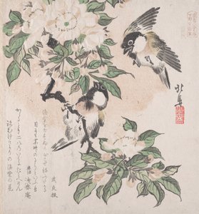 Spring Rain Collection Harusame Shu, vol. 3: Marsh-Tits and Crab Apple Flowers by Hokuba