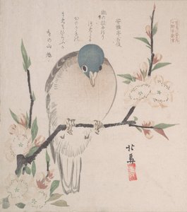 Spring Rain Collection Harusame Shu, vol. 3: Mountain Dove and Peach Flowers