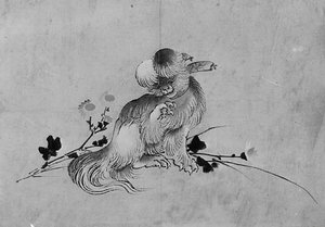 Pekingese, 19th century