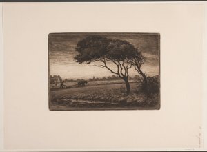 Autumn Landscape
