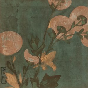 Chrysanthemums, Edo Period, Late 16th-Early 17th Century