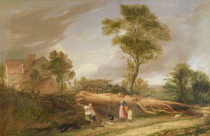 The Woodcutter