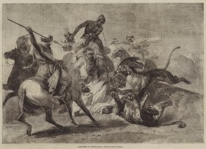 Lion Hunt in Africa