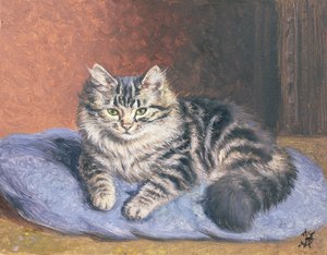 The Blue Cushion