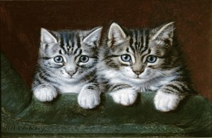 Two Tabby Kittens