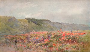 The Valley of Poppies by Howard Gull Stormont