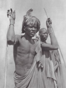 Africa: Shilluks