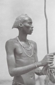 Dinka Negro
