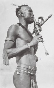 Central African Njambara