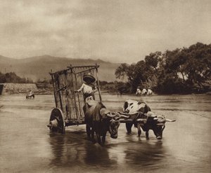 Mexico: Ox Cart with Disc-shaped Wheels by Hugo Brehme