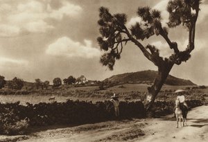 Mexico: Patzcuaro, The Calvary, Michoacan State by Hugo Brehme