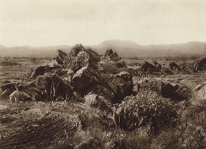 Mexico: Pedregal, Basalt-Lava Stream near San Angel by Hugo Brehme