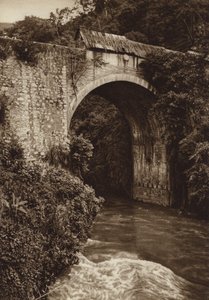 Mexico: Atoyac Bridge by Hugo Brehme