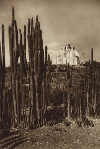 Mexico: Zapotlan, 