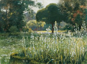 Summer Hyacinths (Galtonia)