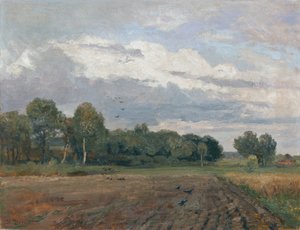 Nordic Landscape